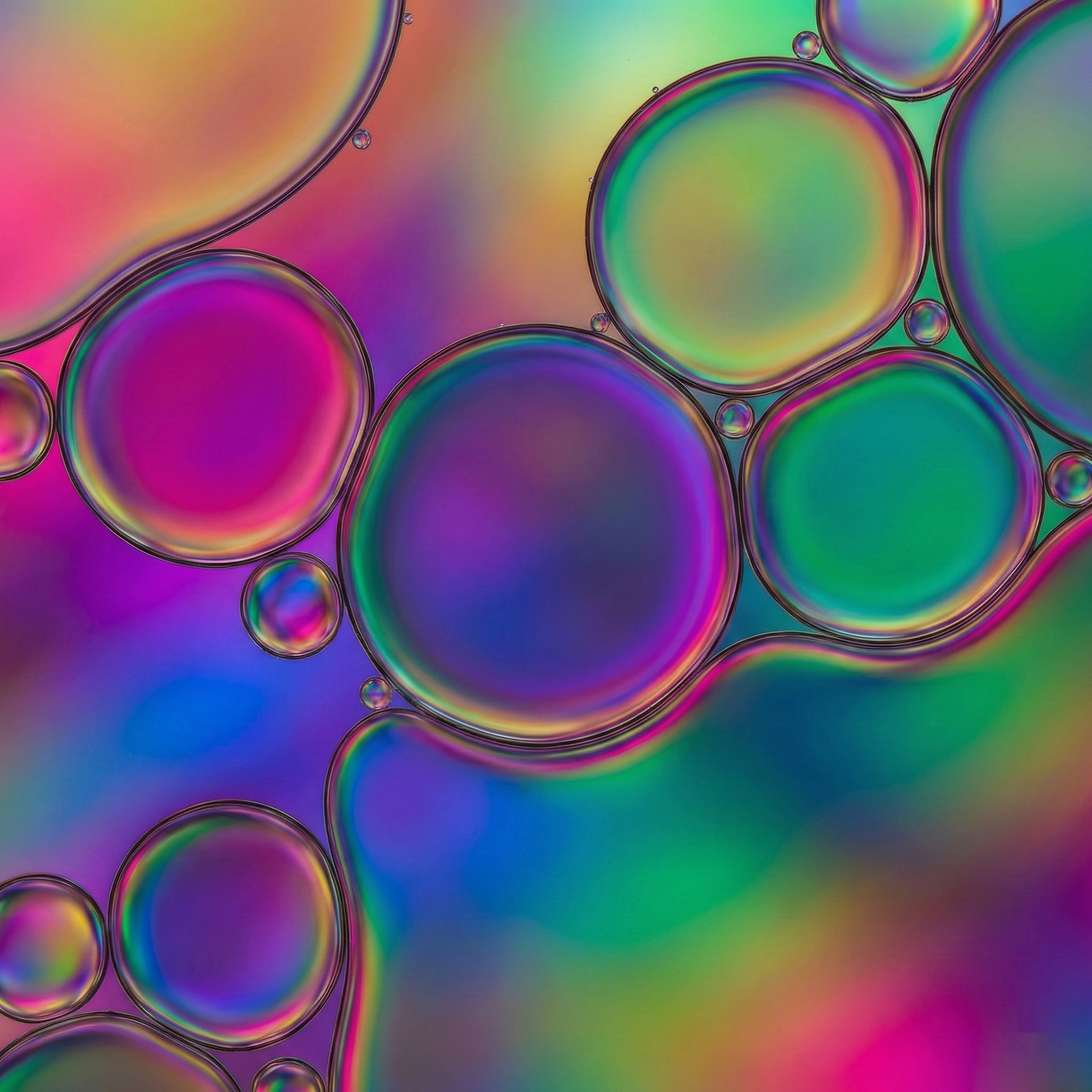 Rainbow_Bubbles.png
